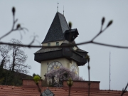 2010-04-05_13-02-51_012graz