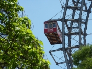 2011-05-29_12-25-33_005cupfinale_ried