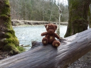 2011-03-26_11-40-05_046raabklamm