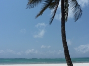 2010-09-07_11-31-38_0748galu_beach_diani_beach