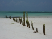 2010-09-12_12-12-32_1049galu_beach