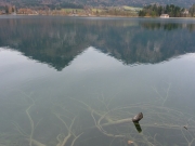 2010-11-07_16-29-13_055wolfgangsee