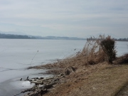 2011-03-12_11-44-04_014segeltreffen_wallersee