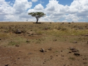 2010-09-04_12-56-37_0268maasai_mara